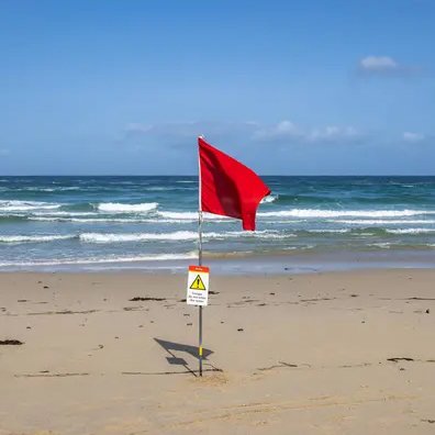 Beach-safety-flags