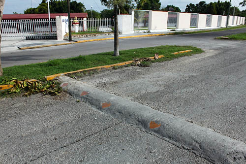 Origin of Speed Bumps