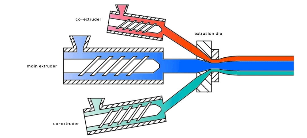 Coextrusion Blow Molding