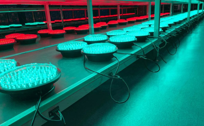 traffic light aging test