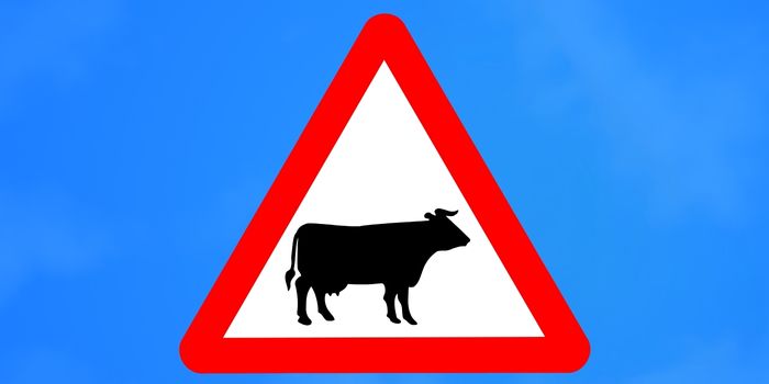 Cattle Grid Ahead Sign