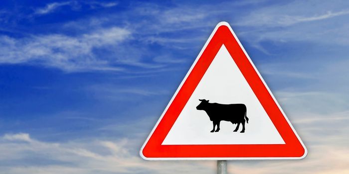Cattle Triangle Sign