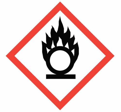 Flame Over Circle Pictogram