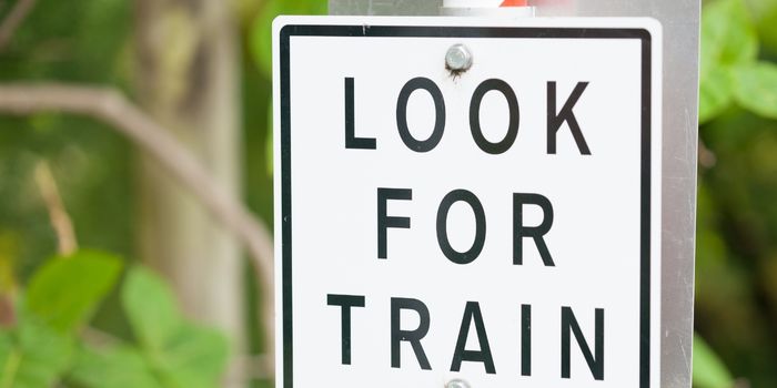 Look for Trains Sign