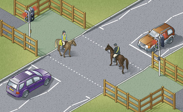 Pegasus(equestrian) Crossing
