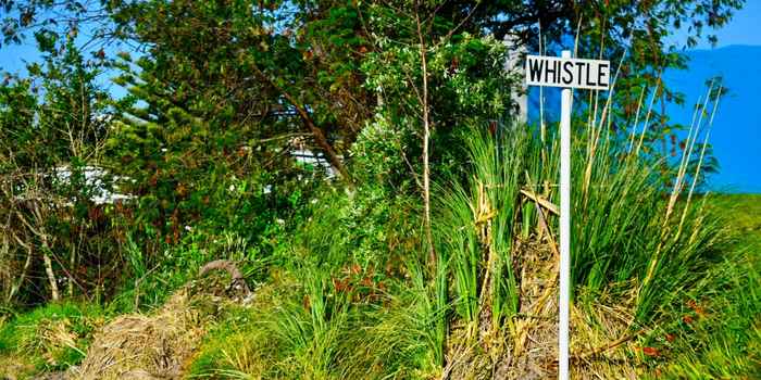 Railroad Whistle Sign