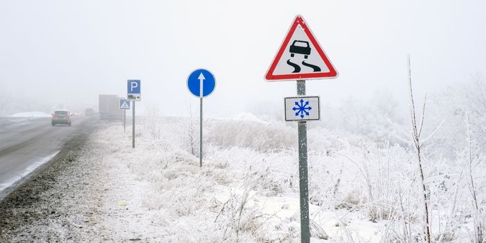 Slippery Road Sign