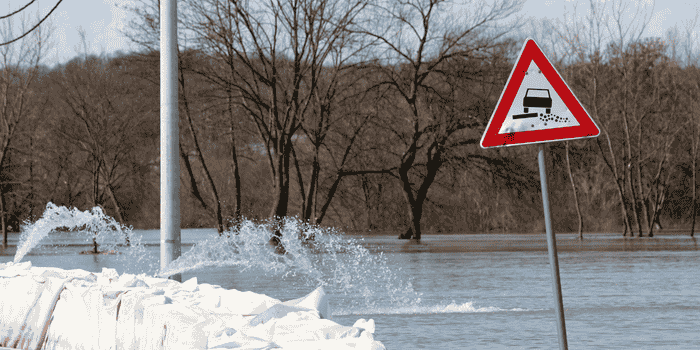 Soft Verges Sign