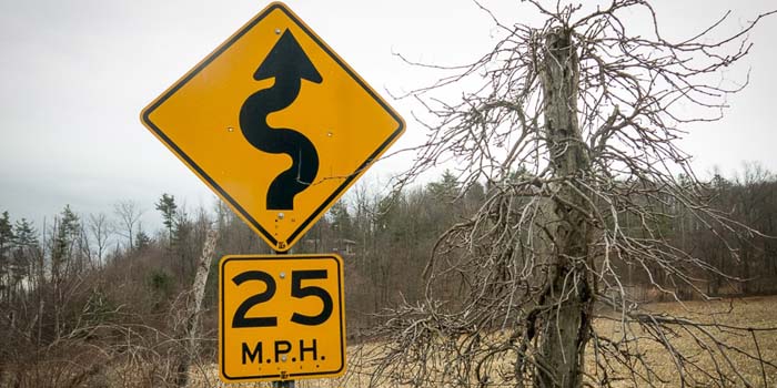 Winding Road Traffic Sign