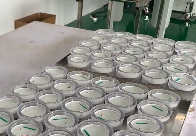 Produção de pregos de vidro para estradas