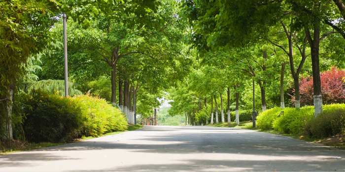 Boulevard
