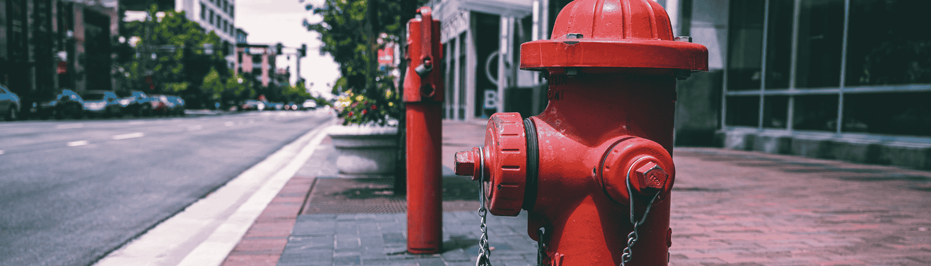 Fire Hydrant Parking