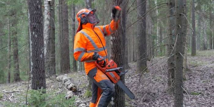 Vêtements de protection pour tronçonneuse