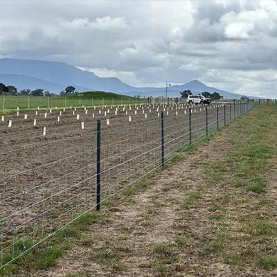 Y Posts for Boundary