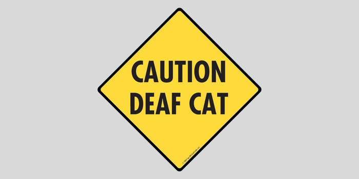 Deaf Cat Sign