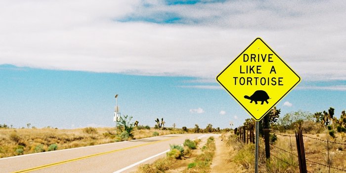 Drive Like a Tortoise Signage