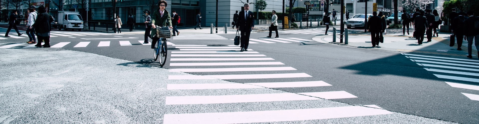 Пешеходная полоса