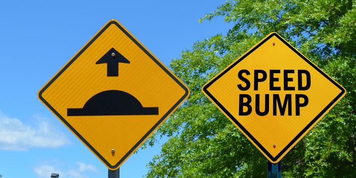 Speed Bump Sign
