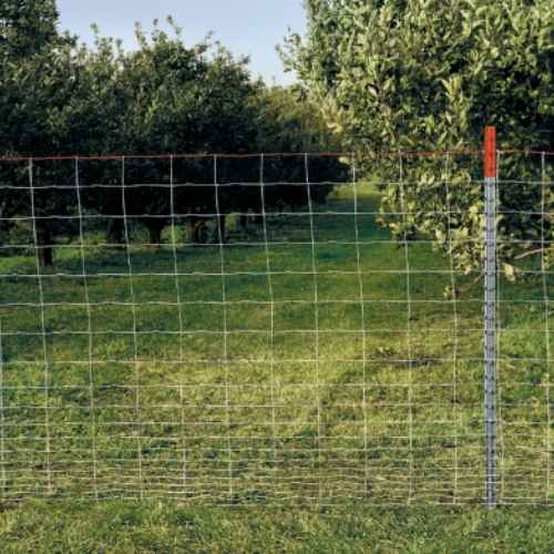 Star Pickets for Orchard Fencing