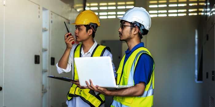 Observador eléctrico