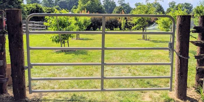 أعمدة البوابة