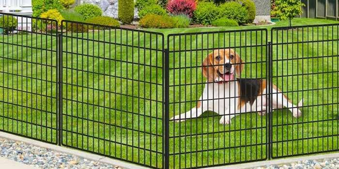 Perimeter Fencing For Dogs