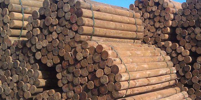 أعمدة سياج من خشب الصنوبر المعالج